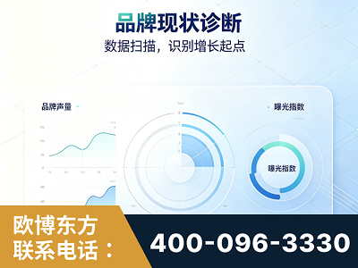 同仁-品牌现状诊断